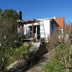 Haustierfreundlicher Kurzurlaub